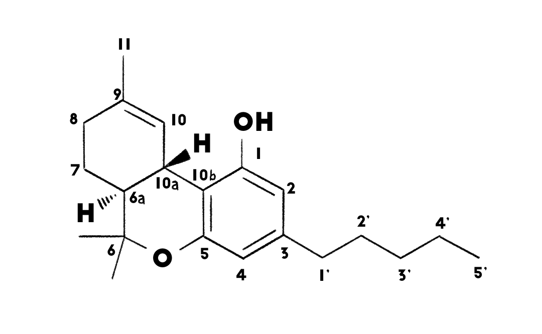 HC-D8910-Fig3