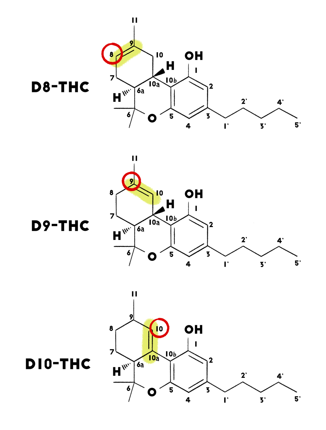 HC-D8910-Fig4