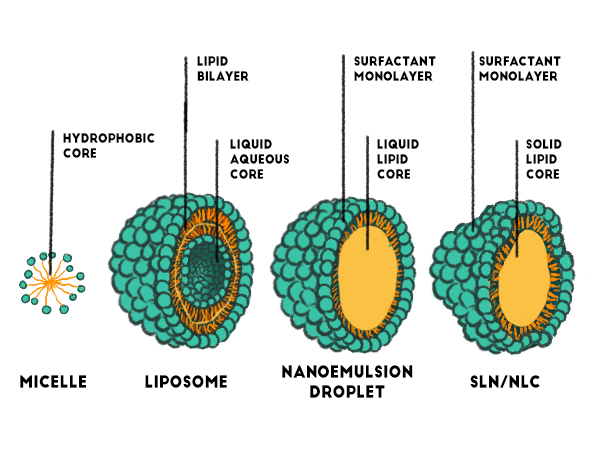 Micelle-Liposome-NanoEmulsion-SLN