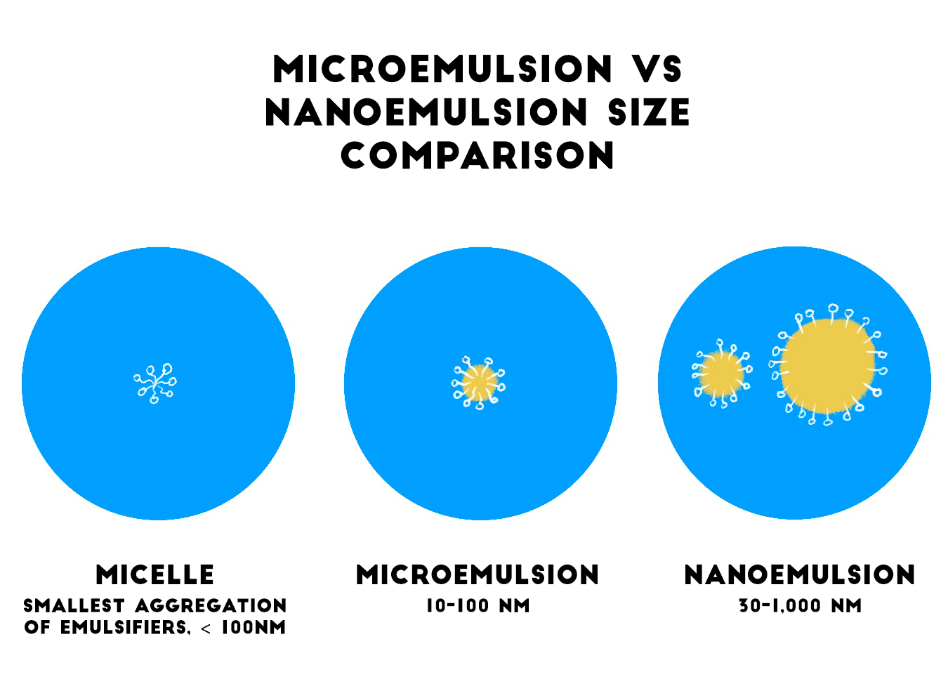 MicroVsNano-SizeComparison