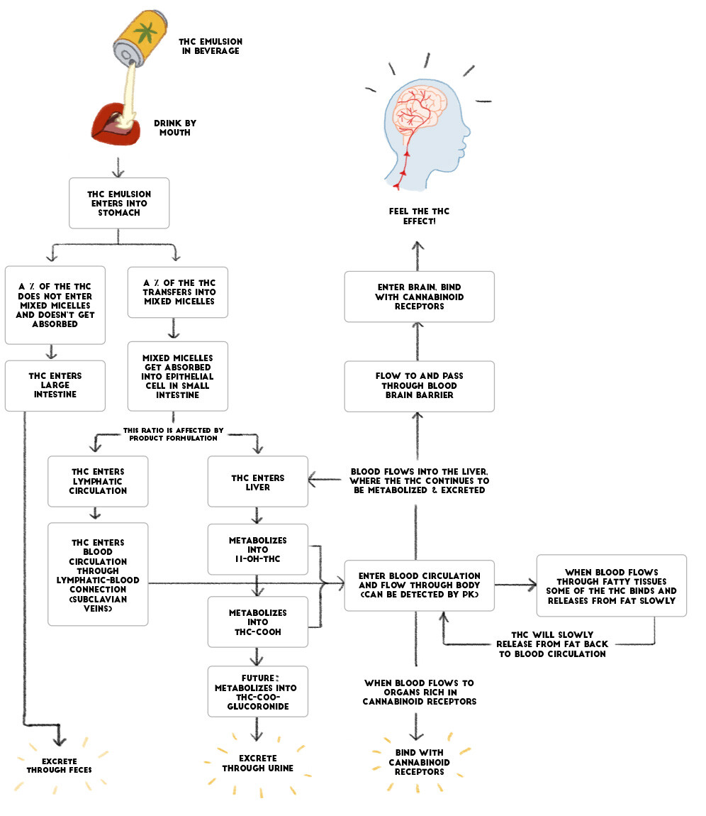 THCJourney-Flowchart