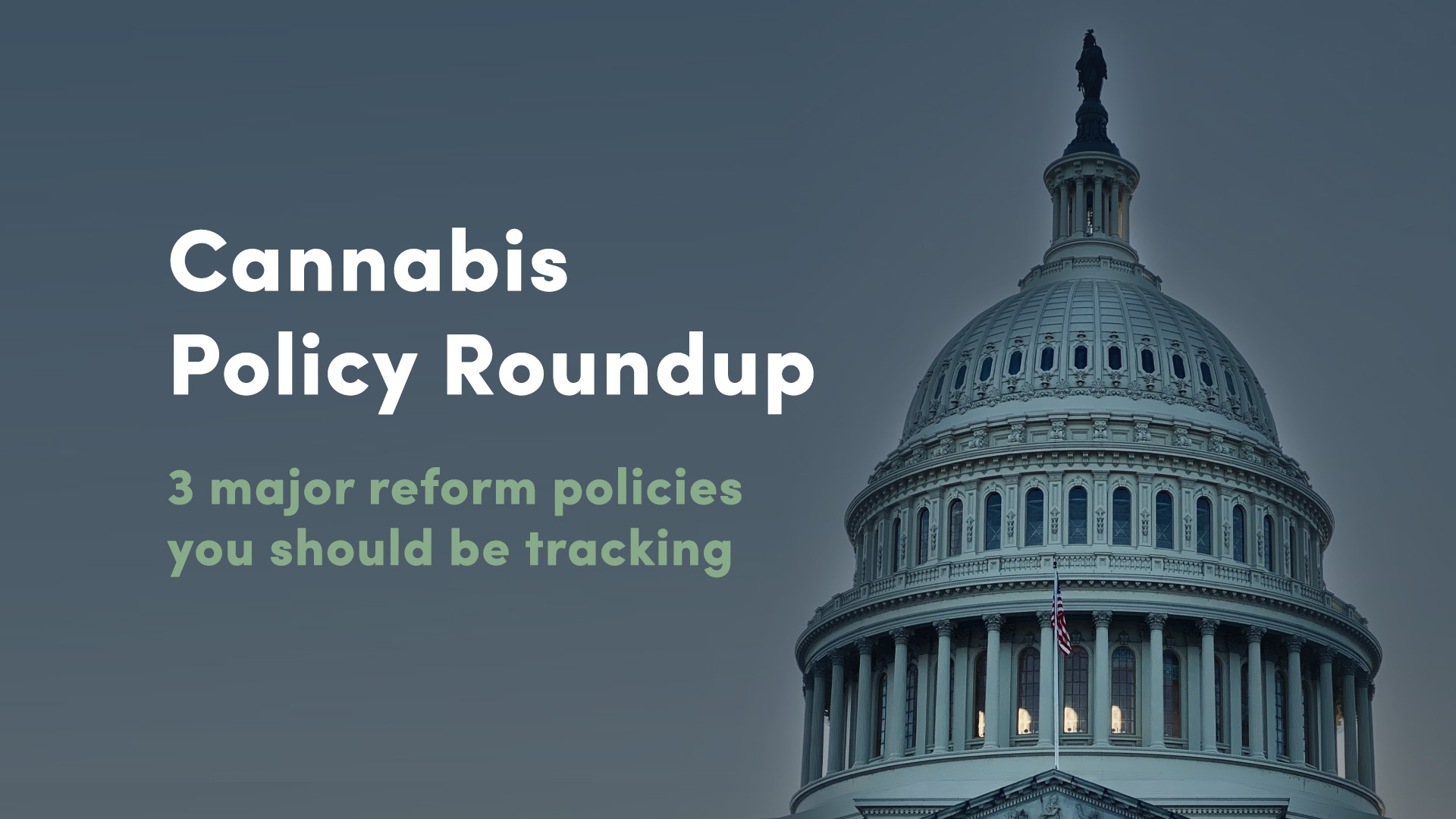 Cannabis Policy Roundup: 3 major reform policies you should be tracking
