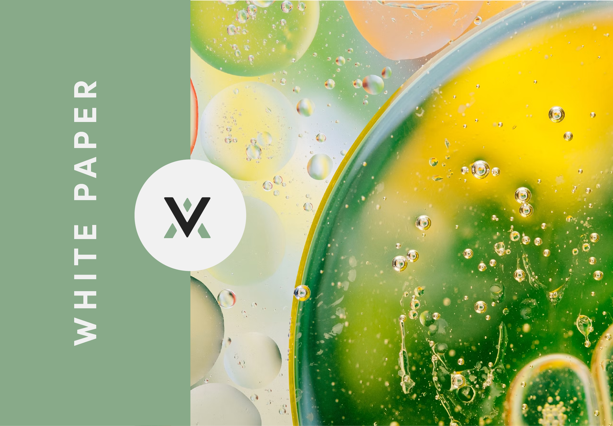 Differences Among Micelle, Emulsion, Liposome, and Lipid Particles