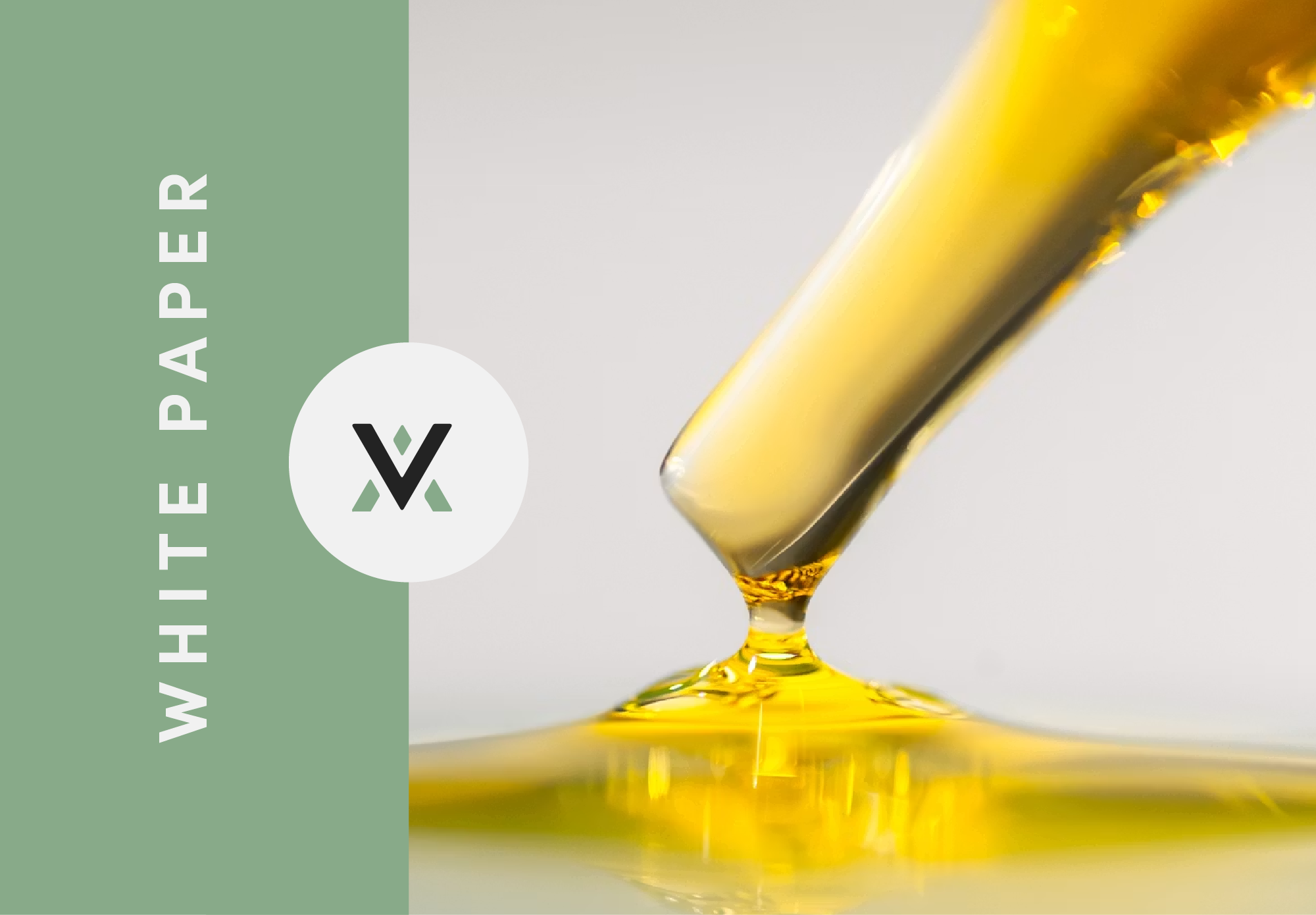 Nanoemulsion Mainstream Applications Overview